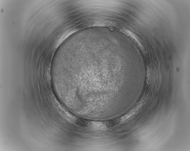 X0000088720794200706141612