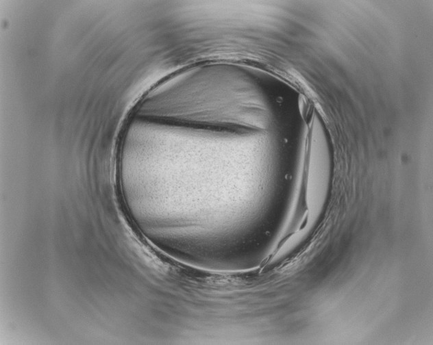 X0000088720795200706141612