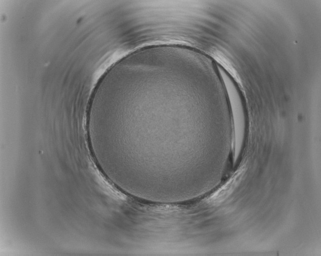 X0000088720797200706141612