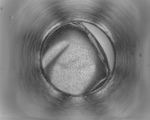 X0000088720798200706141612