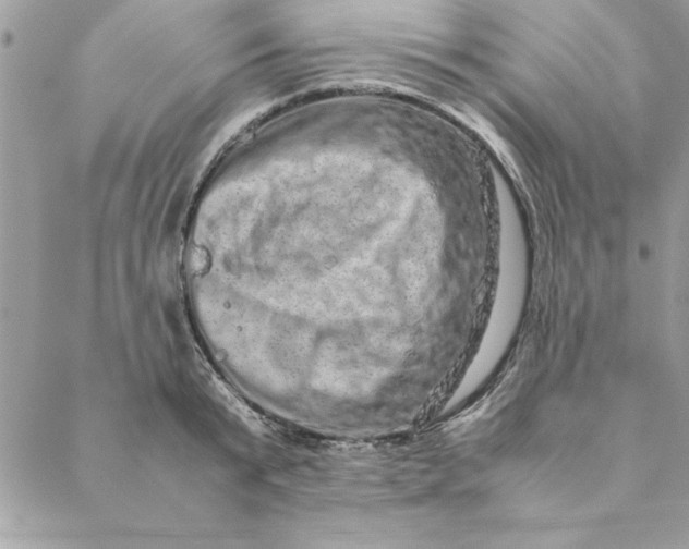 X0000088720799200706141612