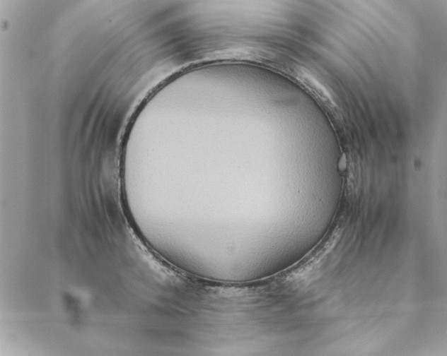 X0000088720800200706141612