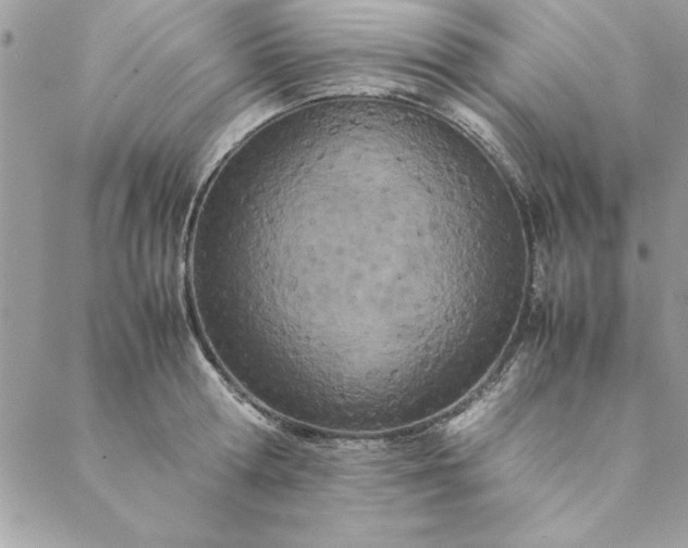 X0000088720802200706141612