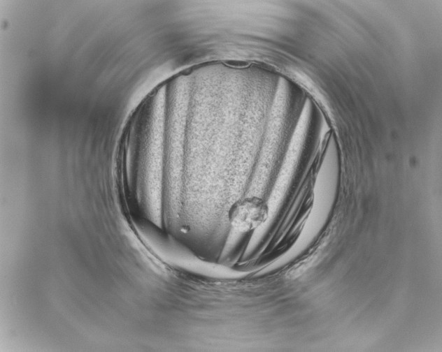 X0000088720803200706141612