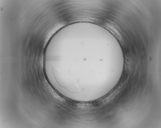 X0000088720804200706141612