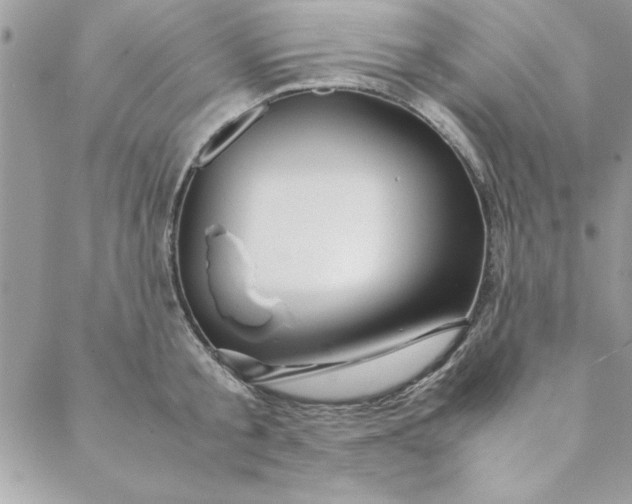 X0000088720805200706141612