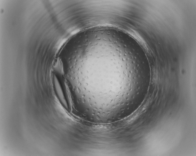 X0000088720806200706141612