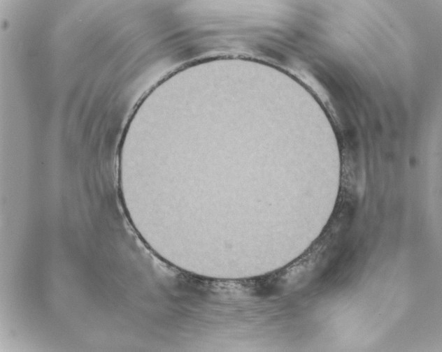 X0000088720807200706141612