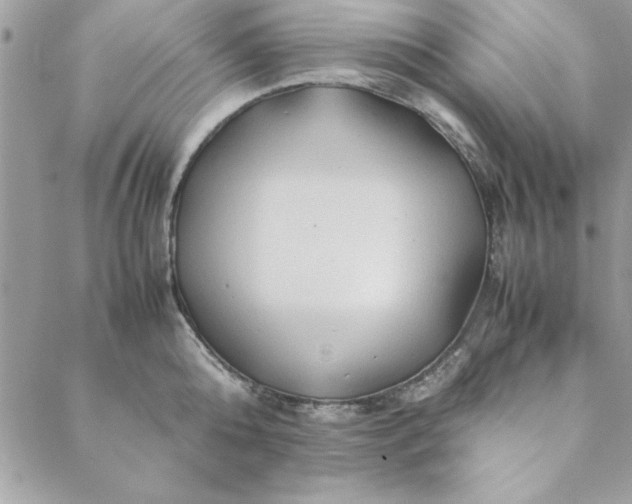 X0000088720808200706141611