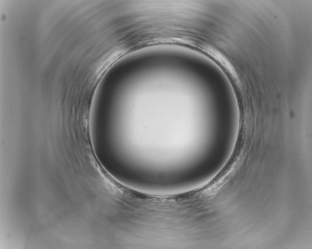 X0000088720809200706141611