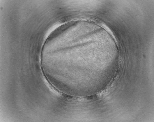 X0000088720811200706141611