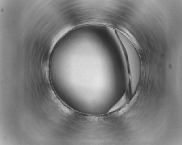 X0000088720812200706141611