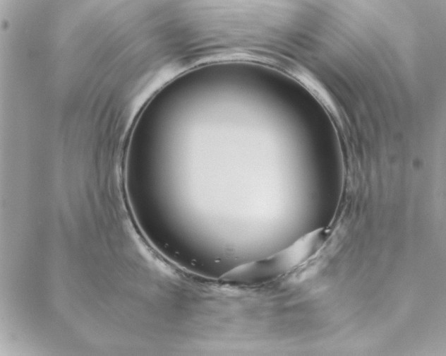 X0000088720813200706141611