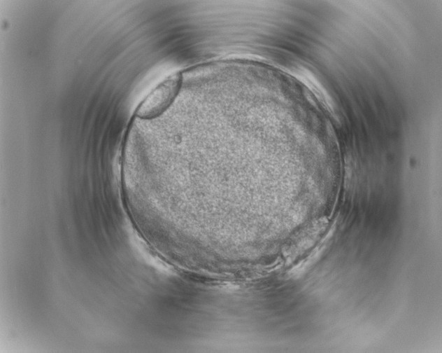 X0000088720814200706141611