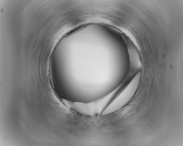 X0000088720815200706141611