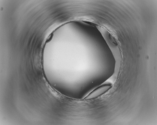 X0000088720816200706141611