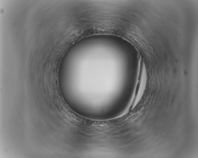 X0000088720817200706141611