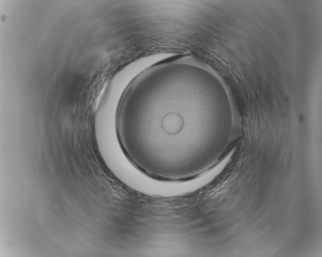 X0000088720818200706141611