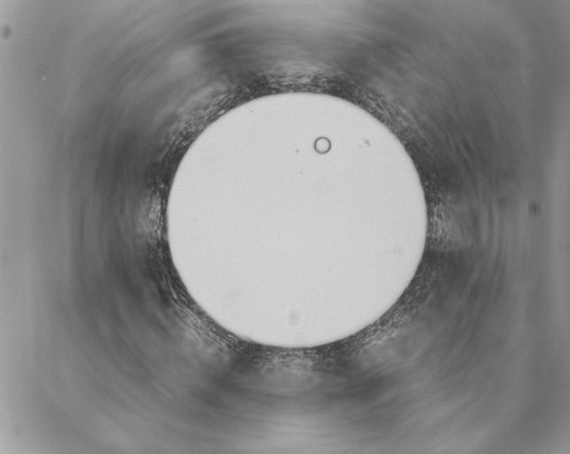 X0000088720820200706141611