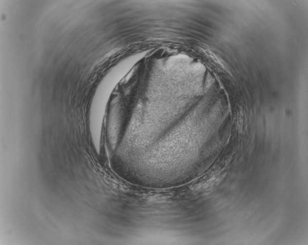 X0000088720821200706141611