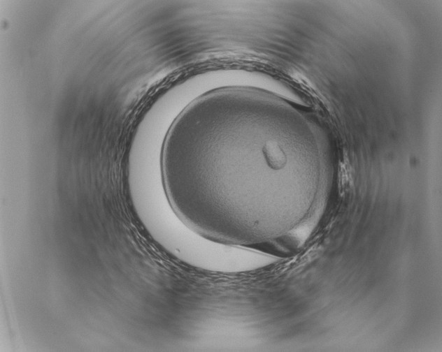 X0000088720822200706141611