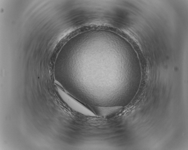 X0000088720823200706141611