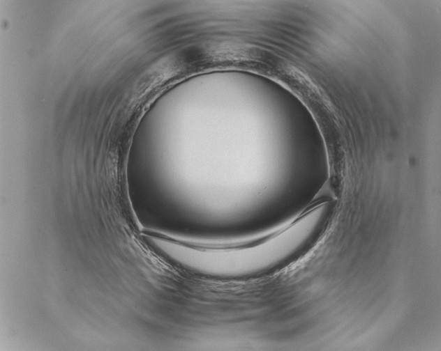 X0000088720825200706141611