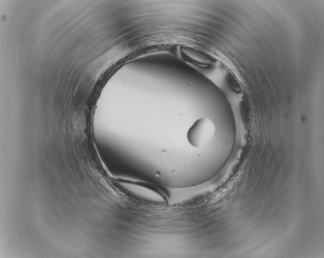 X0000088720826200706141611