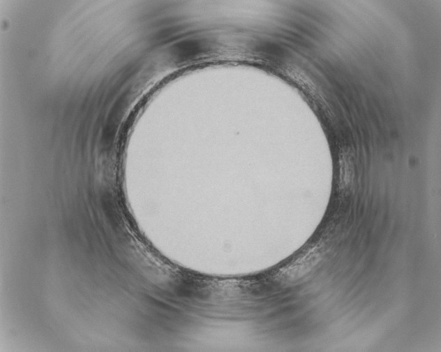 X0000088720828200706141611