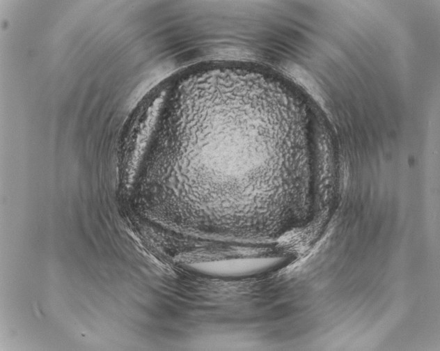 X0000088720829200706141611