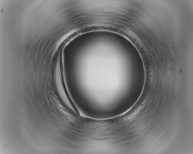 X0000088720830200706141611