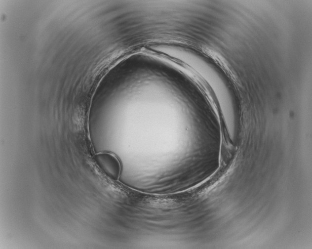 X0000088720833200706141611