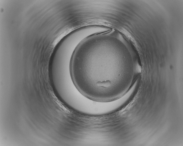 X0000088720834200706141611