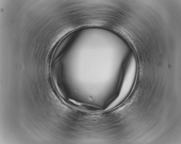 X0000088720835200706141611