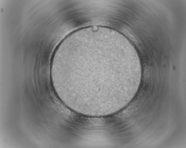 X0000088720836200706141611