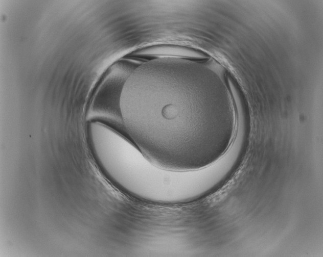 X0000088720838200706141611