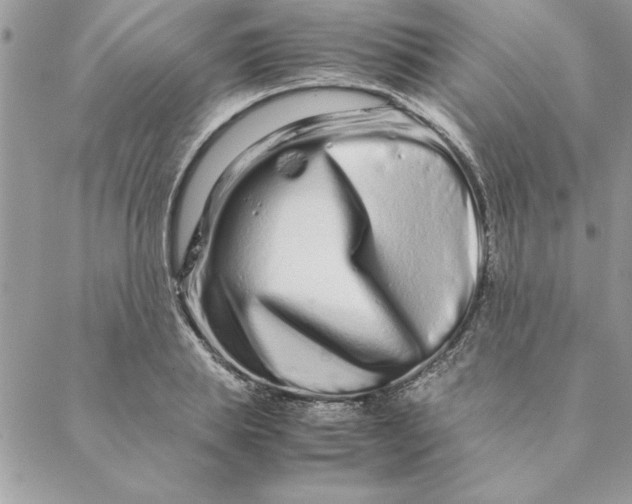 X0000088720839200706141611