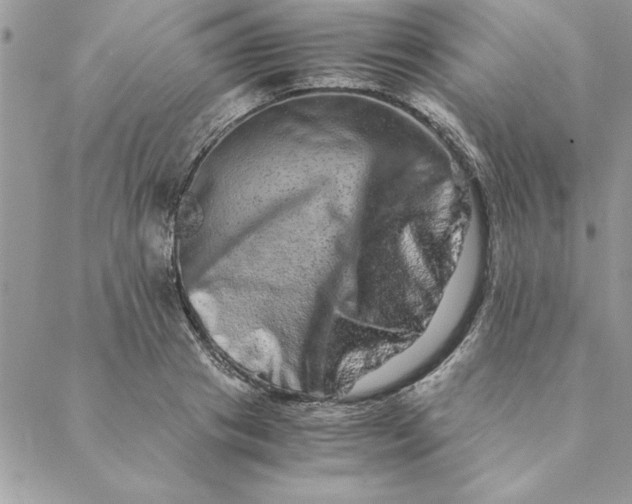 X0000088720841200706141611