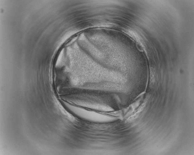 X0000088720843200706141611