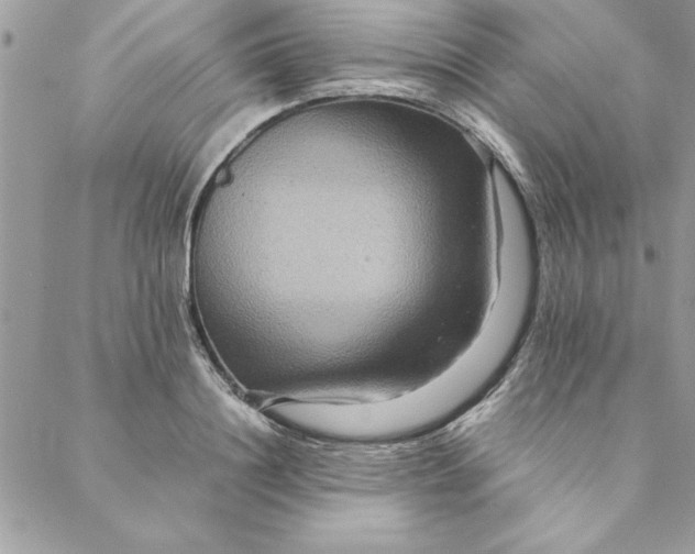 X0000088720844200706141611