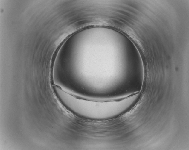 X0000088720845200706141611