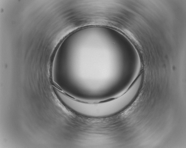 X0000088720846200706141611