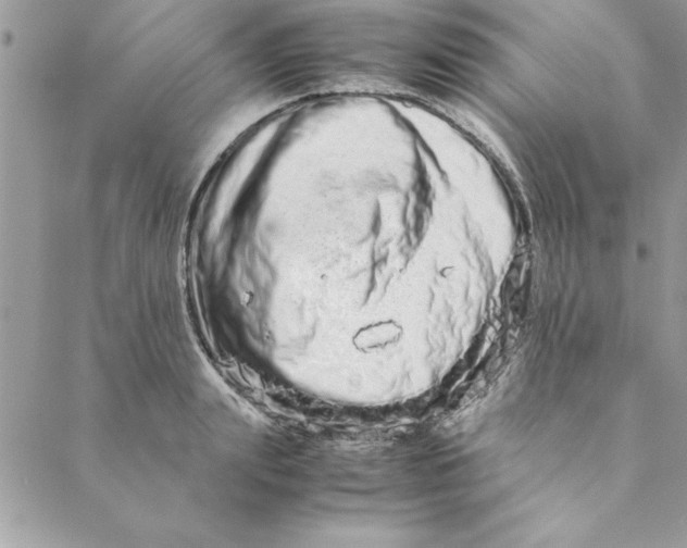 X0000088720847200706141611