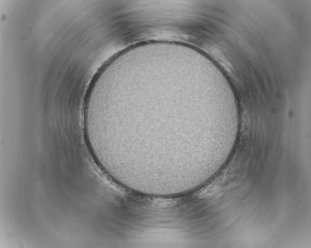 X0000088720848200706141611