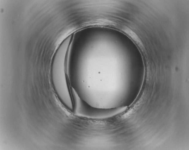 X0000088720850200706141611