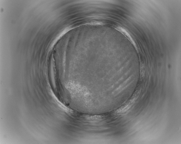 X0000088720851200706141611