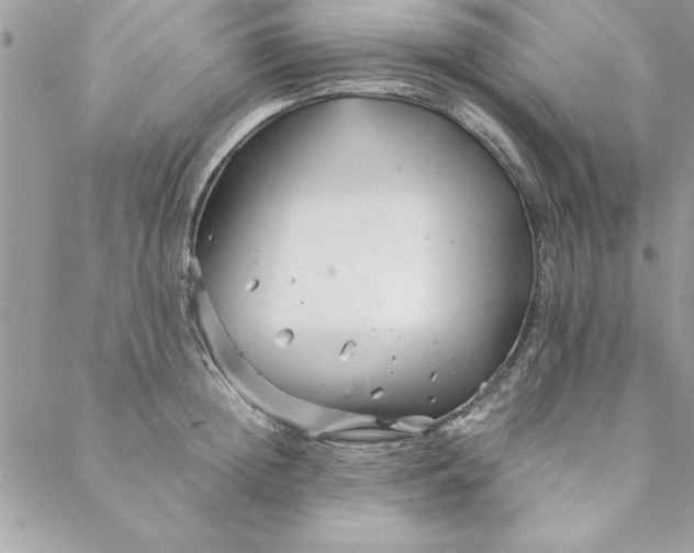 X0000088720852200706141611