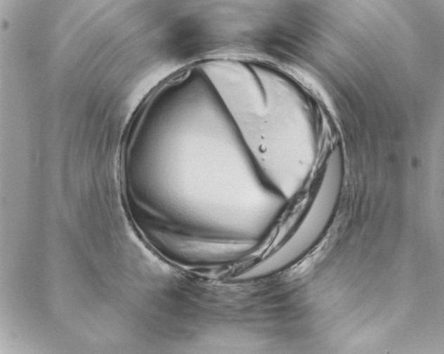 X0000088720855200706141611