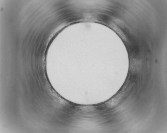 X0000088720856200706141611