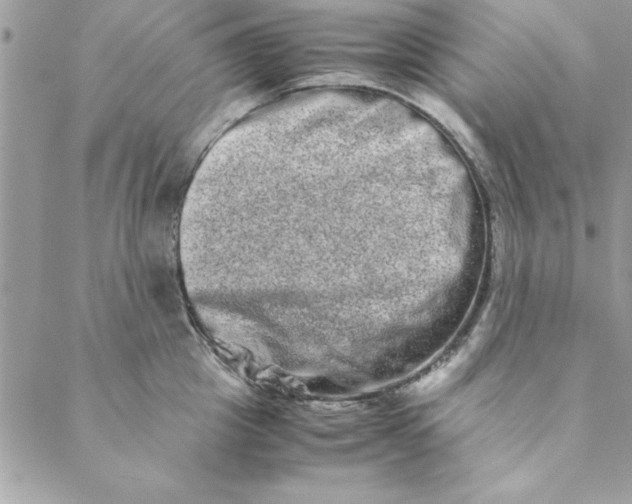 X0000088720857200706141611